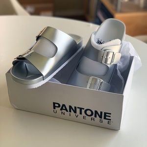 NIB Pantone Metallic Silver Formentera Sandals